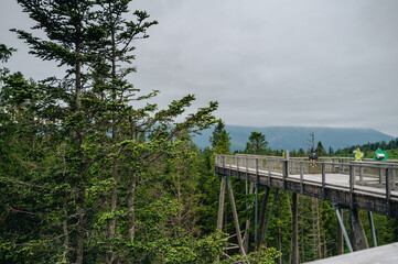 Treetop Walking in Bachledka, Slovakia. Bachledka Ski Sun in Zdiar opposite Belianske Tatras