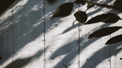 Abstract blurred background with gray shadows from leaves cast on a textured white concrete wall, creating a soft and serene atmosphere.