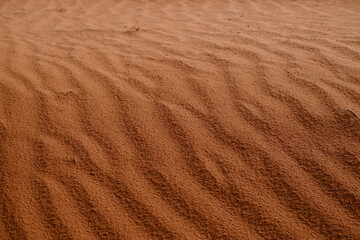 Sand ripples in the desert