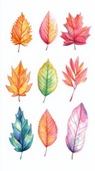 Obraz premium Vibrant Watercolor Autumn Leaves Collection