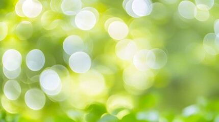 Obraz premium Abstract Green Bokeh Background Light Nature