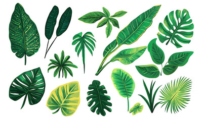 Flowers and leaves in pictures illustrator2D