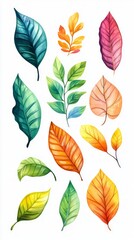 Obraz premium Vibrant Watercolor Leaves Design for Autumn Decor