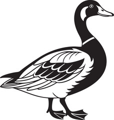 Fototapeta premium Silhouette of a Duck