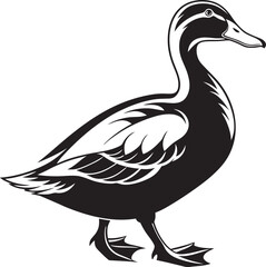 Fototapeta premium Silhouette of a Duck