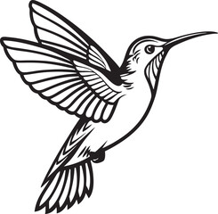 Obraz premium Ethereal Beauty Hummingbird Silhouette in Flight