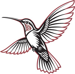 Obraz premium Ethereal Beauty Hummingbird Silhouette in Flight