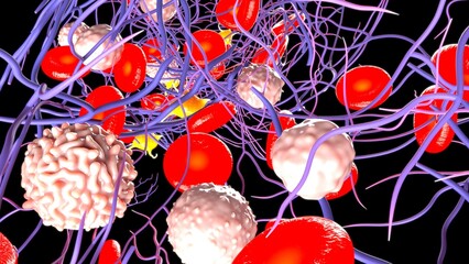 Blood Clot Fibrin 3d illustration