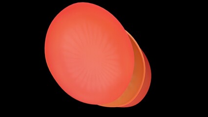 Tympanic membrane3d illustration