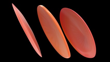 Tympanic membrane 3d illustration