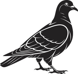 Obraz premium Silhouette of a Standing Dove