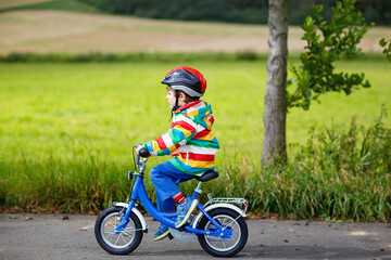 Little cute kid boy on bicycle on summer or autmn day. Healthy happy child having fun with cycling on bike.