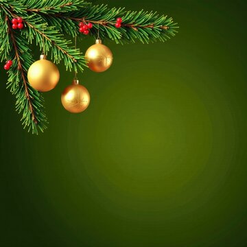 Evergreen fir tree branches with gold ornaments and red berries against olive green background, branch, ornaments