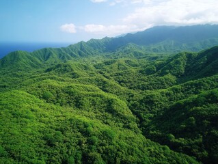 Fototapeta premium Lush Green Mountainous Landscape with Blue Sky and Sea View in Distance