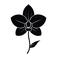 Elegant black silhouette of a Orchid flower silhouette. Simple silhouette of a Orchid flower. Orchid flower vector illustration isolated on white background.