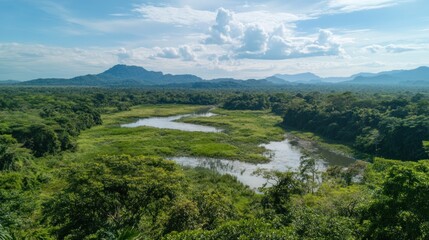 Obraz premium Panoramic view of winding river flowing through lush green rainforest with mountains in the background