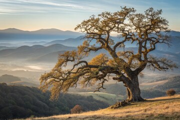 Obraz premium Panoramic Breath of Life: Nature's Inhaler, Stunning Landscape Photography
