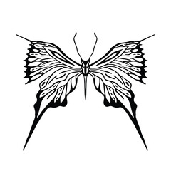 Black butterfly vector in gothic style