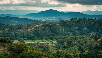 Obraz premium Lush green tropical rainforest hills under a cloudy sky with distant mountains and scattered trees in the foreground creating a serene landscape.