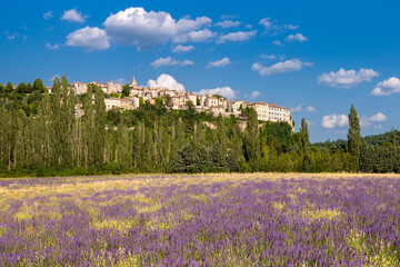 Hilltop Provence village of Sault with lavender fields. Summer in Vaucluse. Albion Plateau, France