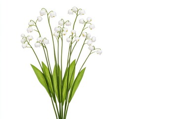 Fototapeta premium A delicate bouquet of white lily of the valley flowers with green leaves against a clean white background