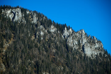 Day Light. Beautiful winter landscape on the mountains in Ruhpolding in Bavaria, Germany