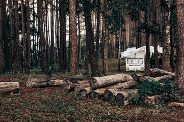 Fototapeta premium Group of white RVs are parked in a forest. The scene is dark and moody, with the trees casting shadows on the ground. The RVs are all facing the same direction, creating a sense of unity.