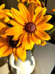 orange Rudbeckia flowers stand in a white vase