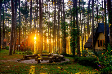 Vibrant forest at sunrise, featuring charming A-frame cabins, a cozy fire pit, and golden sunlight streaming through the tall trees.
