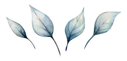 Delicate watercolor leaves in varying shapes and sizes with subtle tones of blue and green
