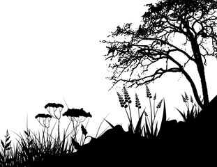 Black Background Tree