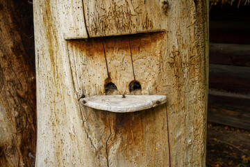 entrance hole to a traditional hive hollowed out in a tree trunk
