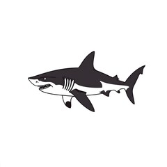 Naklejka premium shark vector illustration