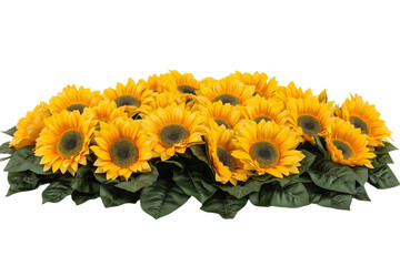 Obraz premium Sunflower bouquet isolated on white background