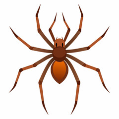 Brown Recluse Spider vector on white background.