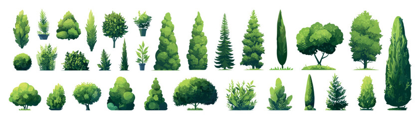 decorative green trees set. park garden plants, decoration environment summer shrub coniferous deciduous thuja spruce pot landscape design vector illustration