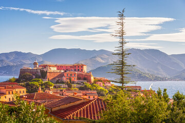 Elba island, Forte Falcone view and a tree in Portoferraio. Tuscany, Italy.