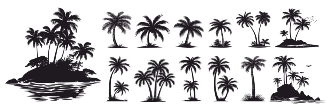 palm trees silhouette set. palm tree monochrome print, drawing tropics coconut tree island plant birds vector illustration