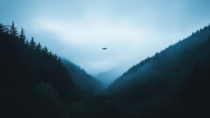 Silent Flight Over Misty Mountain Valley