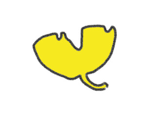 leaf isolated on white