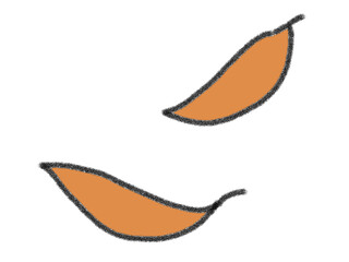 leaf isolated on white