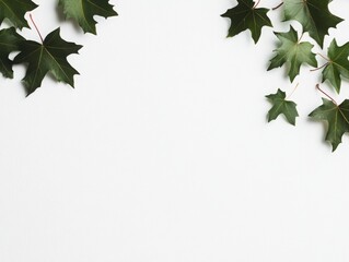 Fototapeta premium Fresh green leaves arranged elegantly on a white background, perfect for nature-themed designs.