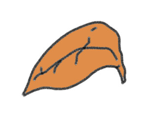 leaf isolated on white