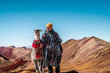 Man and llama on Rainbow Mountain, Peru. © Wirestock