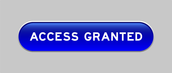 Fototapeta premium Blue color capsule shape button with word access granted on gray background