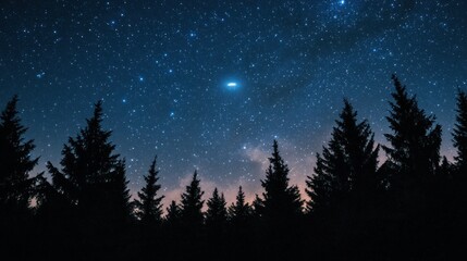 Fototapeta premium Starry Night Sky Above Silhouetted Pine Trees
