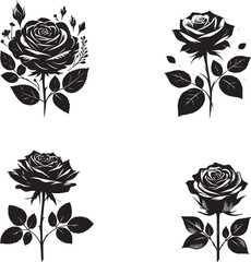 Set of roses, silhouette style minimalist white background