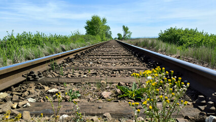 railway tracks passing through the agricultural fields