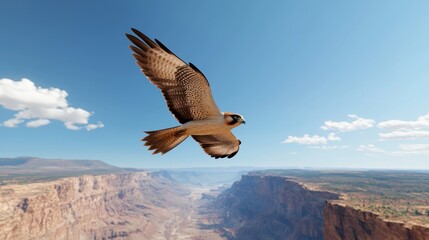 Fototapeta premium Majestic Falcon Soaring Over Canyon