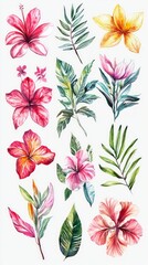 Fototapeta premium Watercolor Tropical Flowers and Leaves Collection